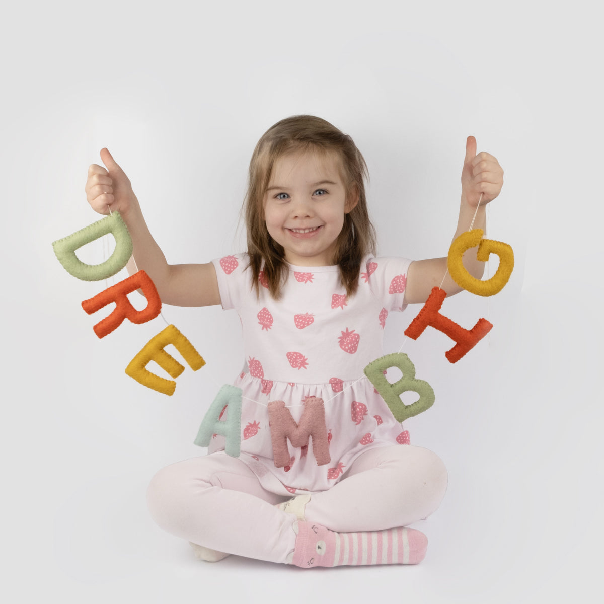 Garland - Banner - Dream Big - Wall Decor
