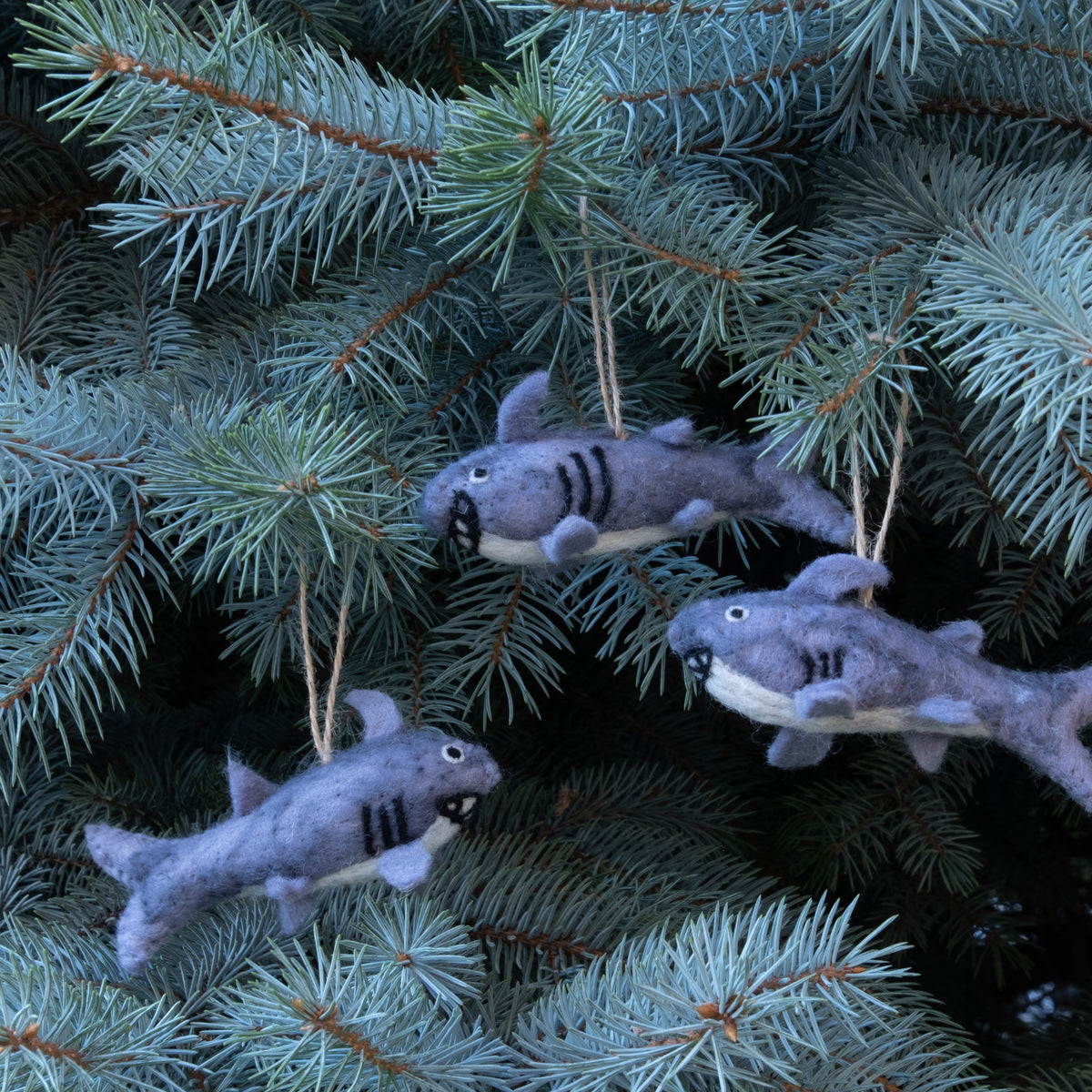 Ornament - Shark
