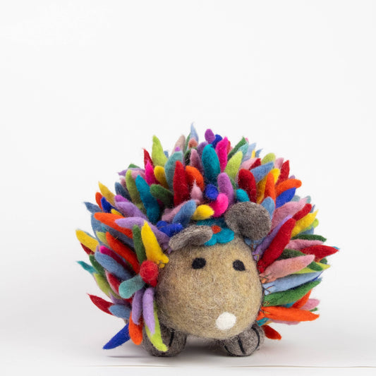 Toys - Sensory Play - Hedgehog - Rainbow - Large