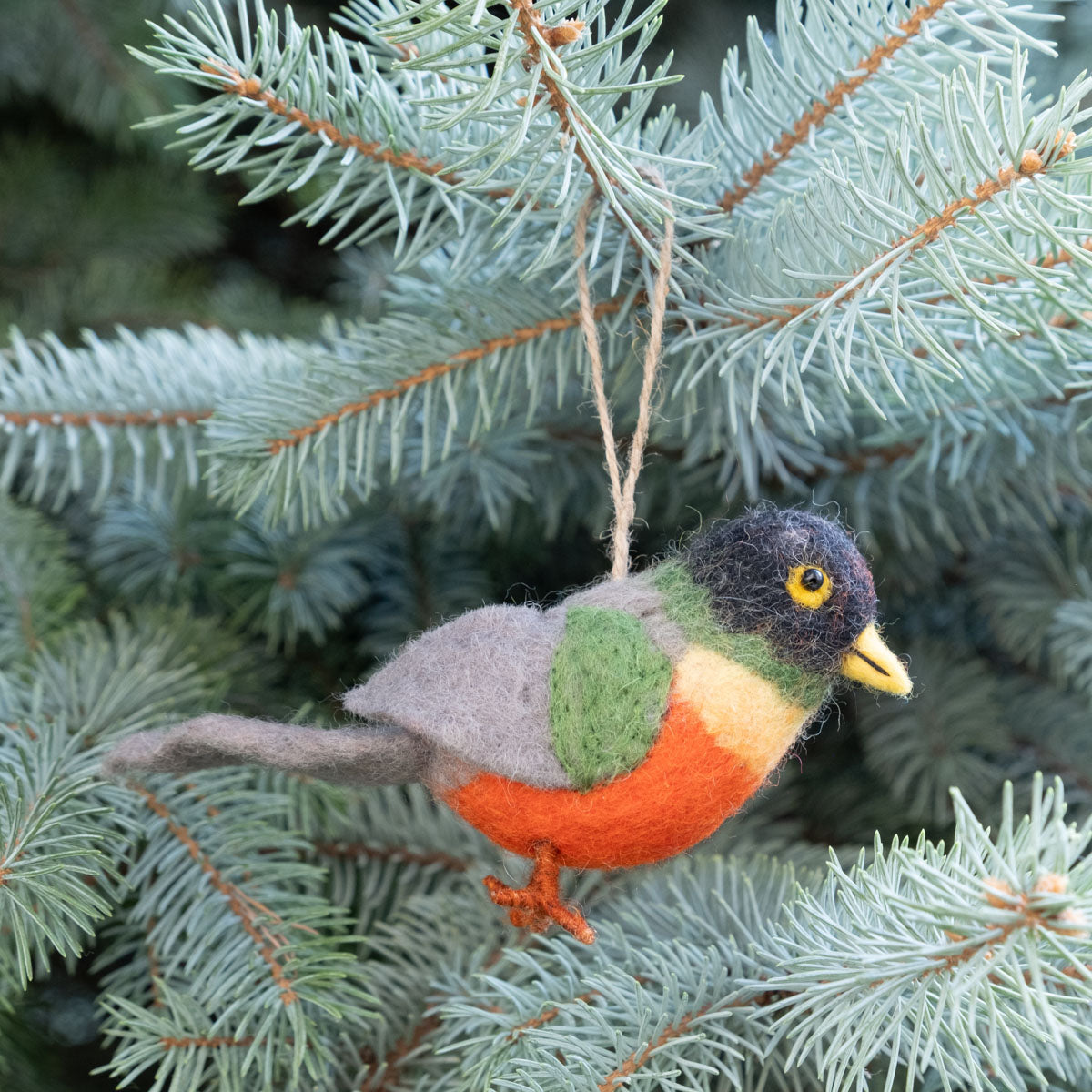Ornament - Birds - Set of 5