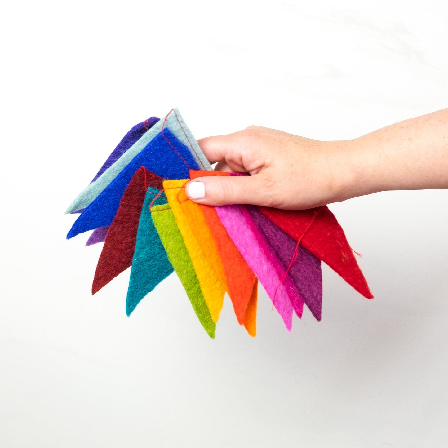 Garland - Wall Décor - Rainbow Flags