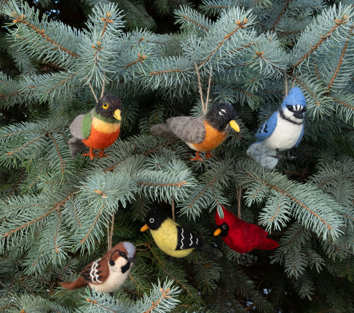 Ornament - Birds - Set of 5