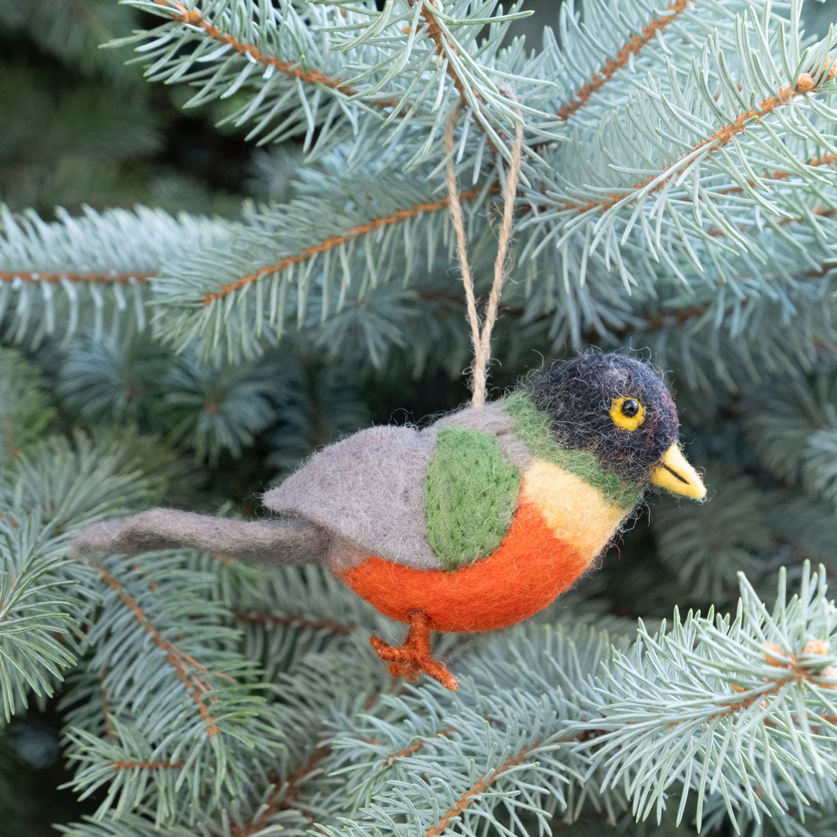 Ornament - Birds - Set of 5