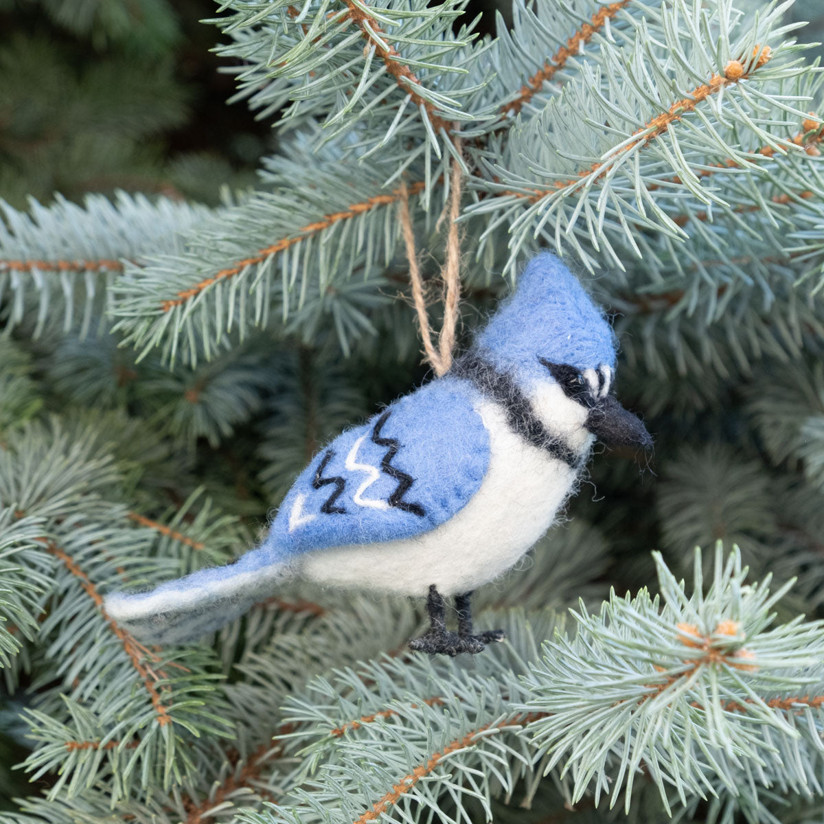 Ornament - Birds - Set of 5