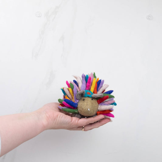 Toys - Sensory Play - Hedgehog - Rainbow - Small